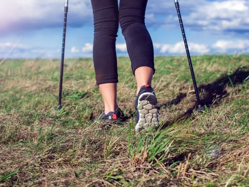 Plan de Entrenamiento para Haciendo Camino 2025