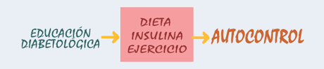 Educación diabetológica -> Dieta insulina ejercicio -> Autocontrol